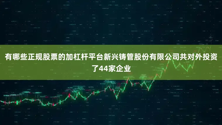 有哪些正规股票的加杠杆平台新兴铸管股份有限公司共对外投资了44家企业