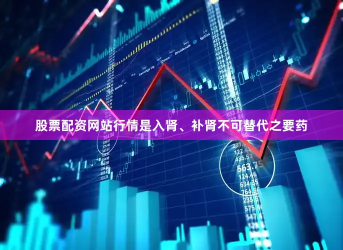 股票配资网站行情是入肾、补肾不可替代之要药