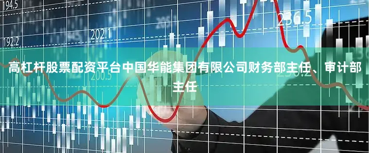 高杠杆股票配资平台中国华能集团有限公司财务部主任、审计部主任