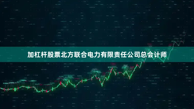 加杠杆股票北方联合电力有限责任公司总会计师