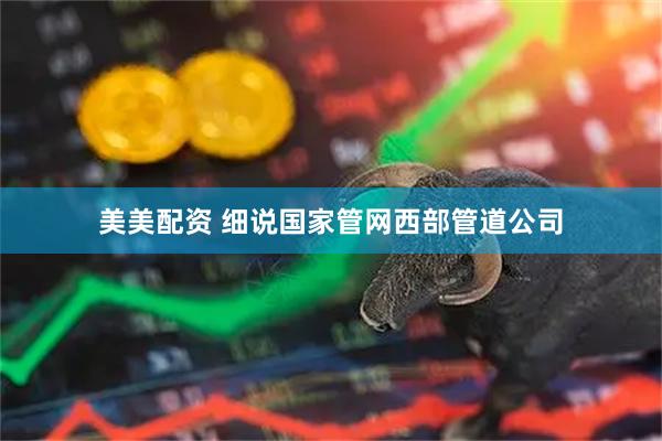 美美配资 细说国家管网西部管道公司