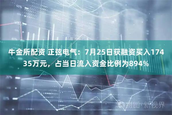 牛金所配资 正弦电气：7月25日获融资买入17435万元，占当日流入资金比例为894%