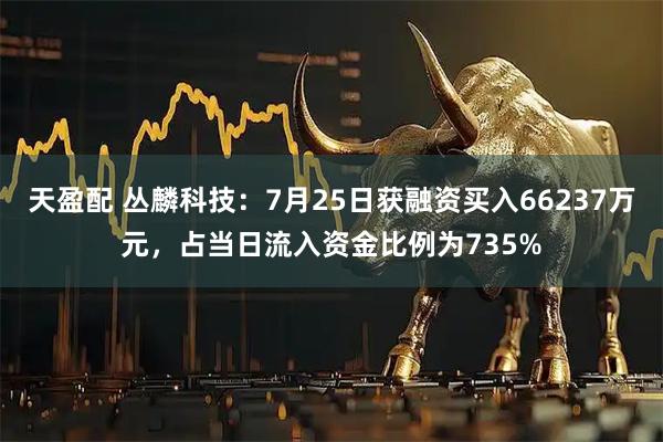 天盈配 丛麟科技：7月25日获融资买入66237万元，占当日流入资金比例为735%