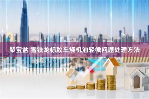 聚宝盆 雪铁龙标致车烧机油轻微问题处理方法