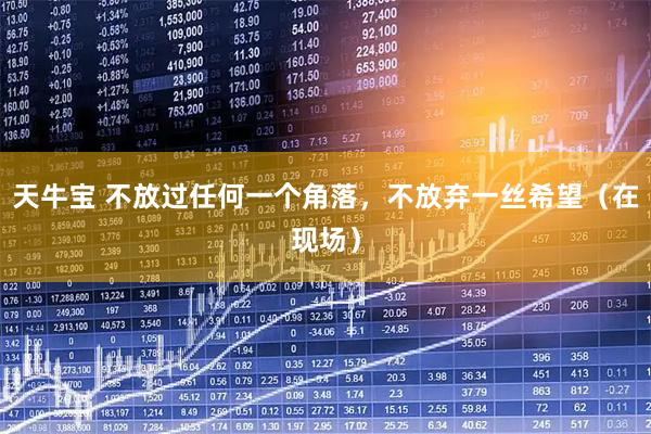 天牛宝 不放过任何一个角落，不放弃一丝希望（在现场）